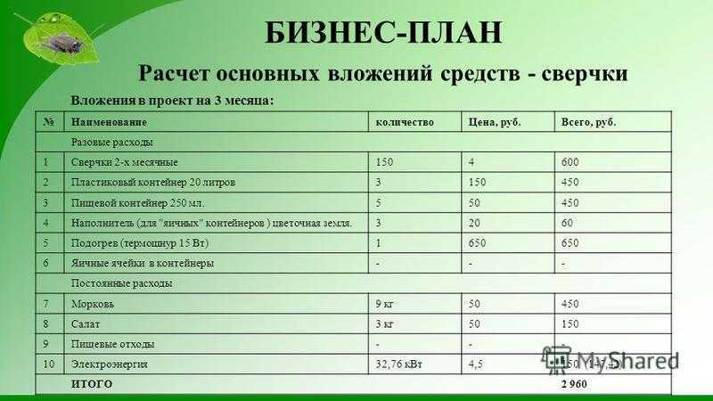 Секонд-хэнд: бизнес-идея, как открыть, вложения, оборудование, что нужно для открытия + реальные кейсы