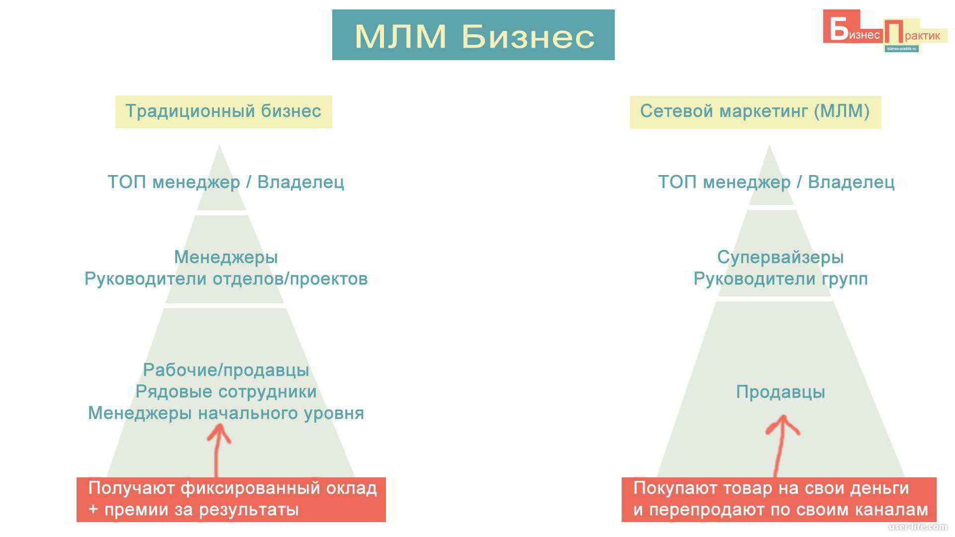 Сетевой маркетинг