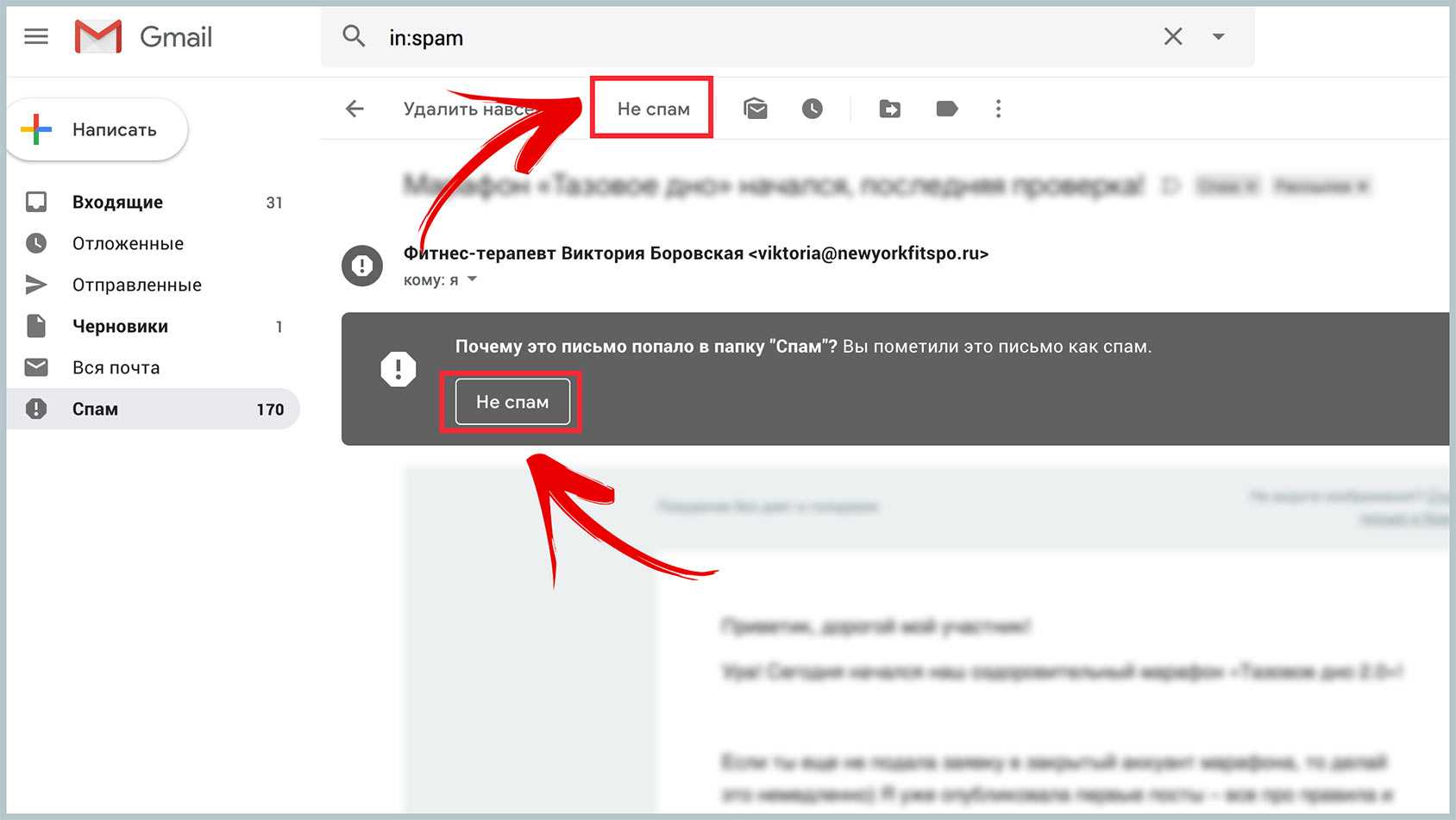 Что такое спам простыми словами, его виды и чем опасен