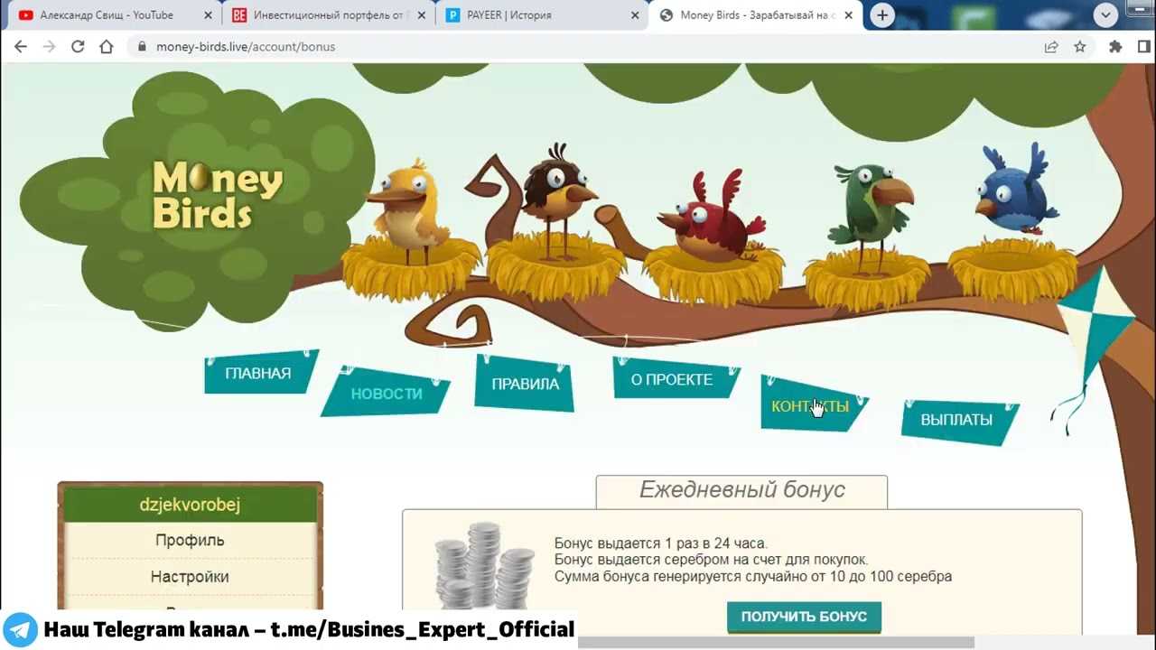 Проект dinomania с заработком в интернете: отзывы