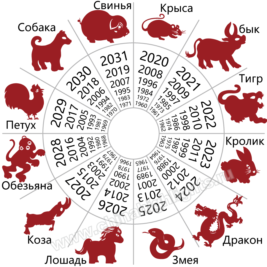 Эти 5 знаков зодиака разбогатеют в 2024 году