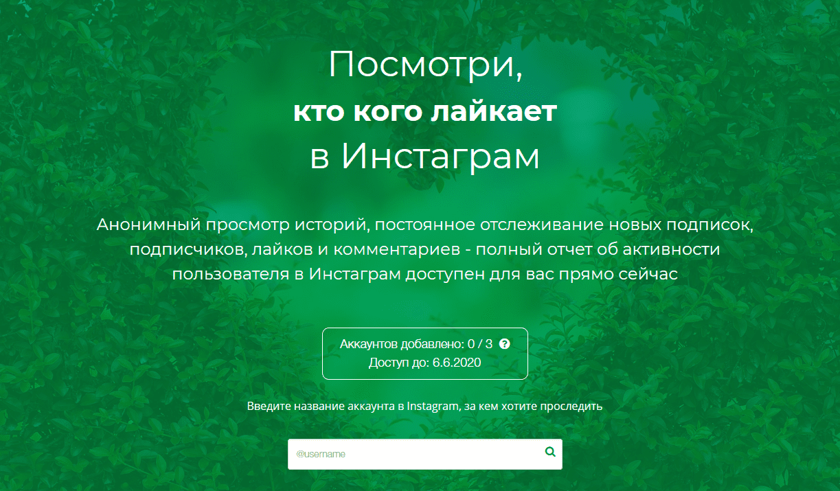 Instashpion отзывы клиентов