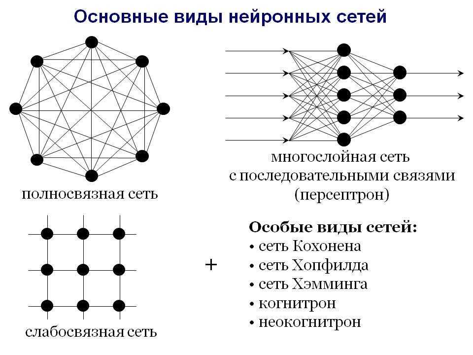 Искусственная нейронная сеть | cybernetics wiki | fandom