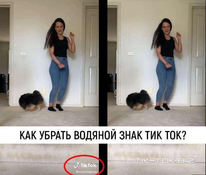 Вот как быстро скачать видео из tiktok без водяного знака и с ним!