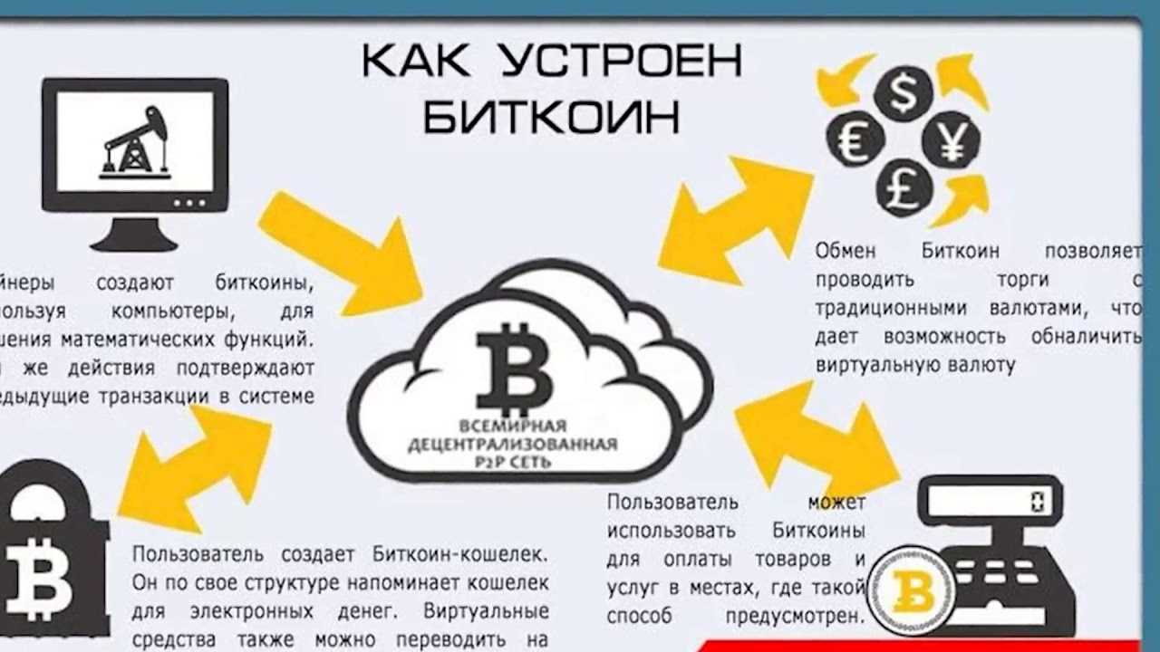 Виды кошельков для хранения криптовалюты и их особенности