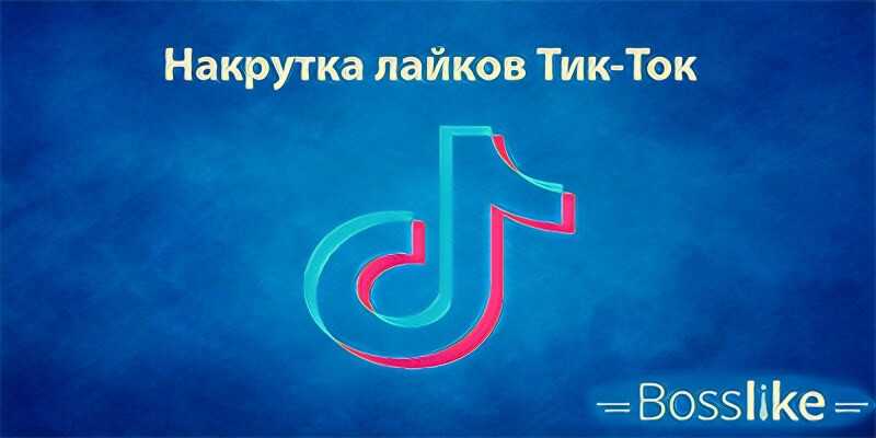 Как накрутить просмотры в тик ток: 15 лучших сервисов
