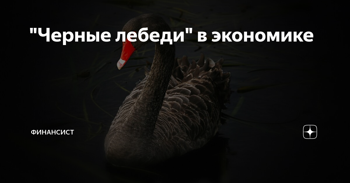 Черный лебедь в экономике: как предсказать непредсказуемые события