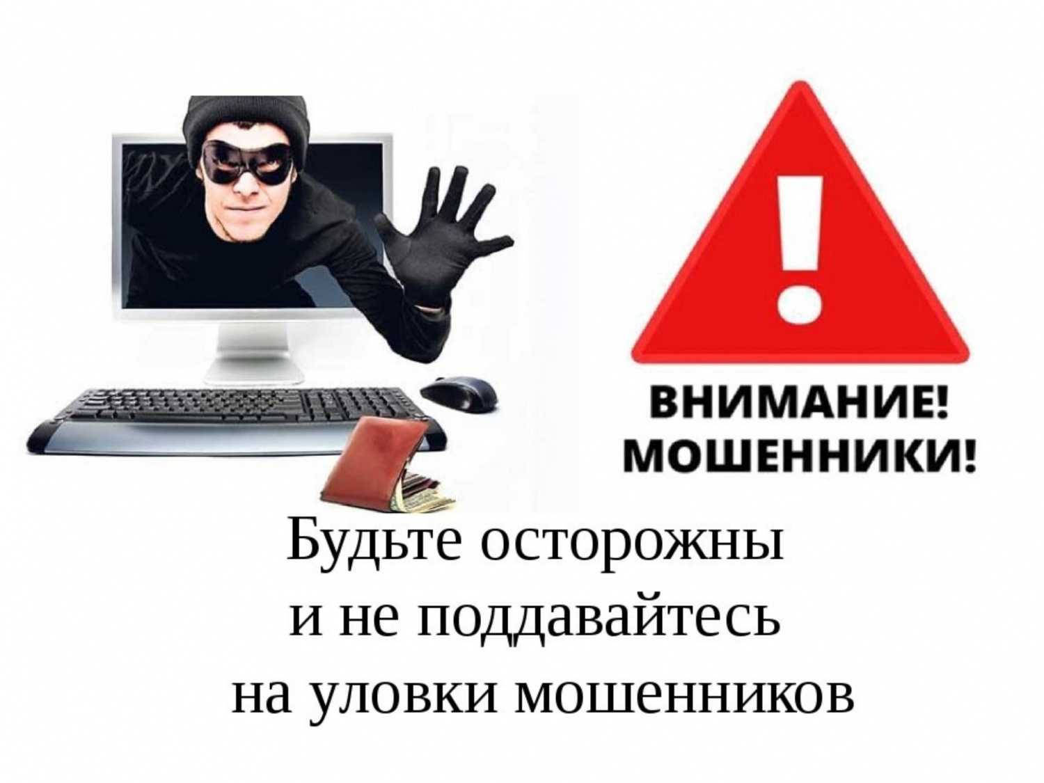 Инвестиции в стартапы: способы, механизм и лучшие площадки