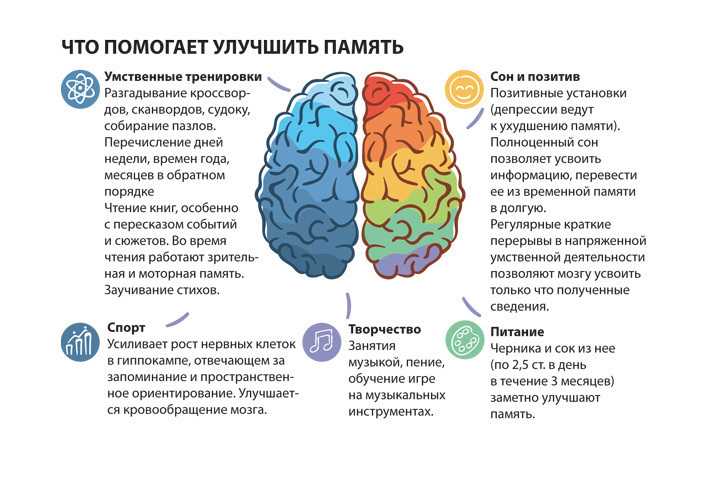 Как заставить мозг запоминать прочитанное | rusbase