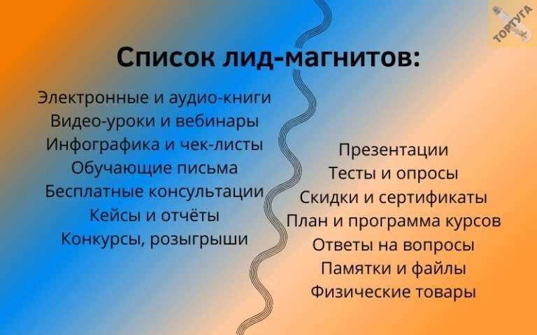 Лид-магниты: 14 примеров и их описания использования -?fireseo.ru