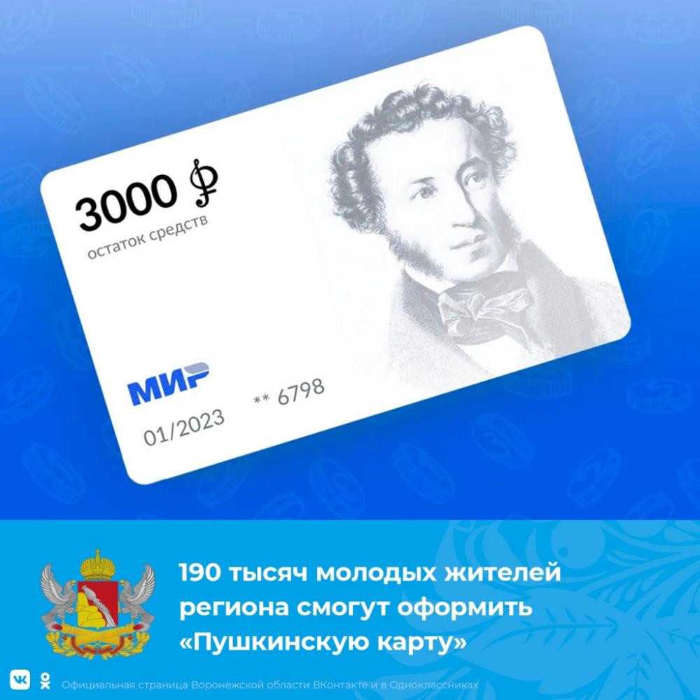 Некоторые вопросы привлечения к юридической ответственности за незаконное использование «пушкинской карты»