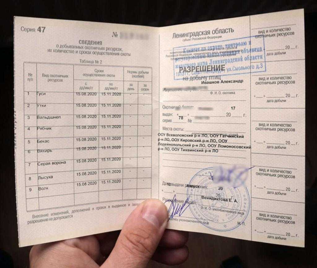 Как стать охотником: куда обращаться, какие документы нужны, приобретение лицензии и разрешение на покупку ружья - truehunter.ru