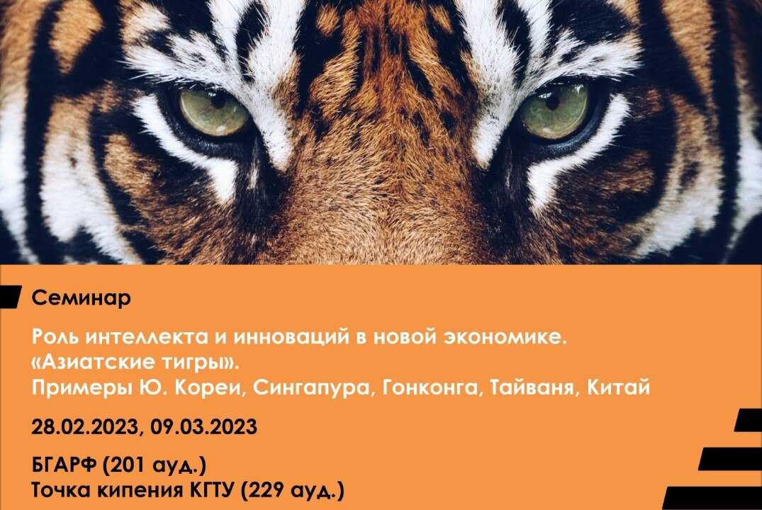 Как «азиатский тигр» добился лидерства на глобальном рынке