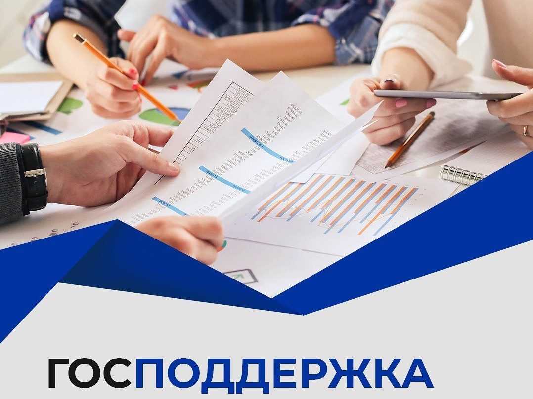 Какие меры господдержки доступны малому бизнесу в 2024 году: льготные кредиты, гранты, налоговые каникулы и другие