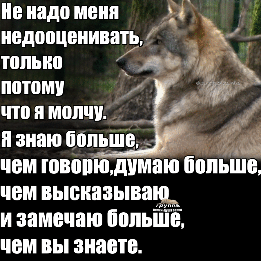 Цены растут: почему всё валят на инфляцию?