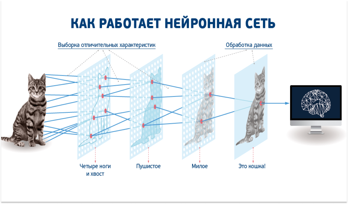 Список лучших российских и зарубежных нейросетей для поиска информации в интернете собрали бесплатные и платные сервисы Объясняем как работает генеративный ИИ как им пользоваться и зачем нужны нейросети в поисковиках