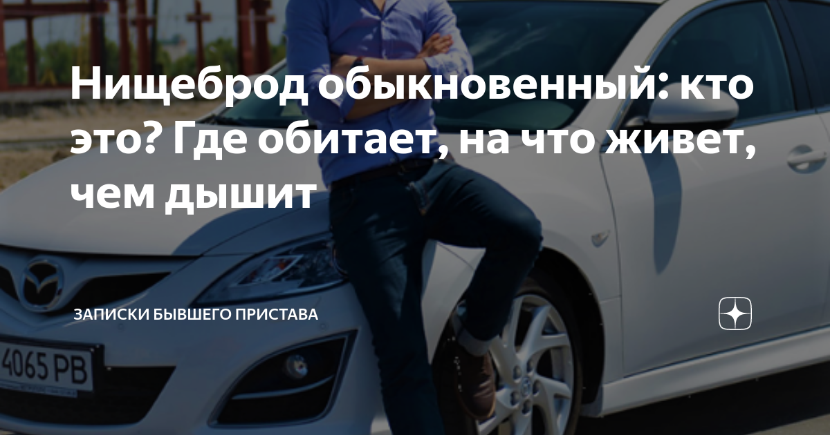 Кто такой нищеброд – значение слова + тест на нищебродство и советы что делать, если прошел тест «успешно»