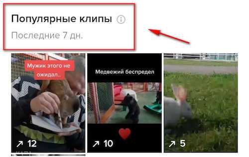 Расписание, чтобы попасть в рекомендации tiktok — лучшее время для выкладывания контента