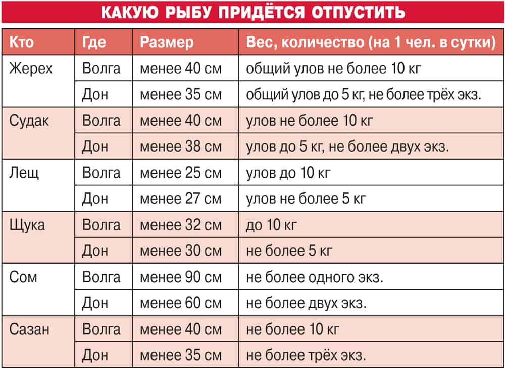 Закон о рыбалке в россии 2024: штрафы, правила, запреты и нормы вылова рыбы