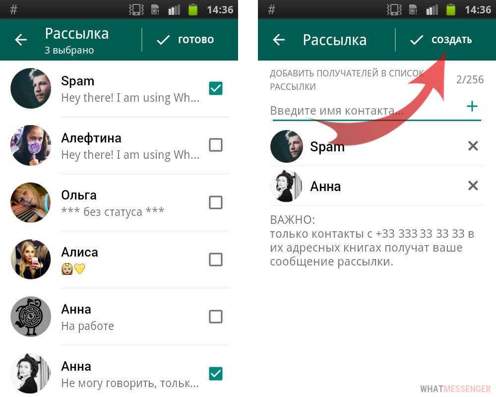 Как сделать рекламную рассылку в whatsapp и не попасть в бан. как сделать whatsapp рассылку по клиентам?