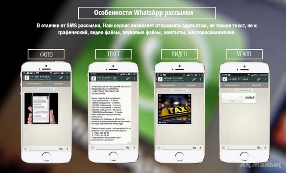 Как сделать рассылку в whatsapp