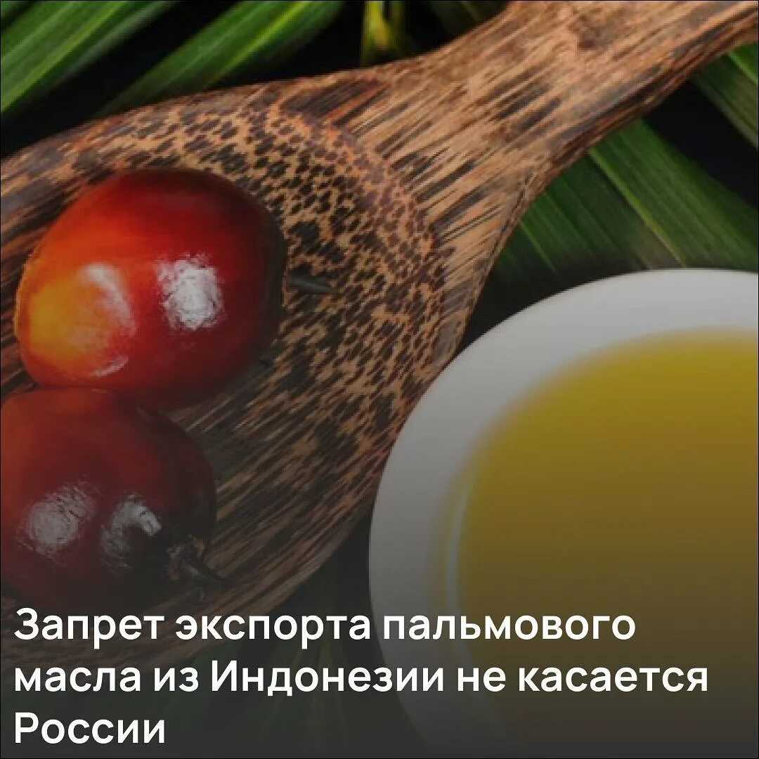 Роспотребнадзор выяснил, кто больше всего травит россиян пальмовым маслом – снег.tv