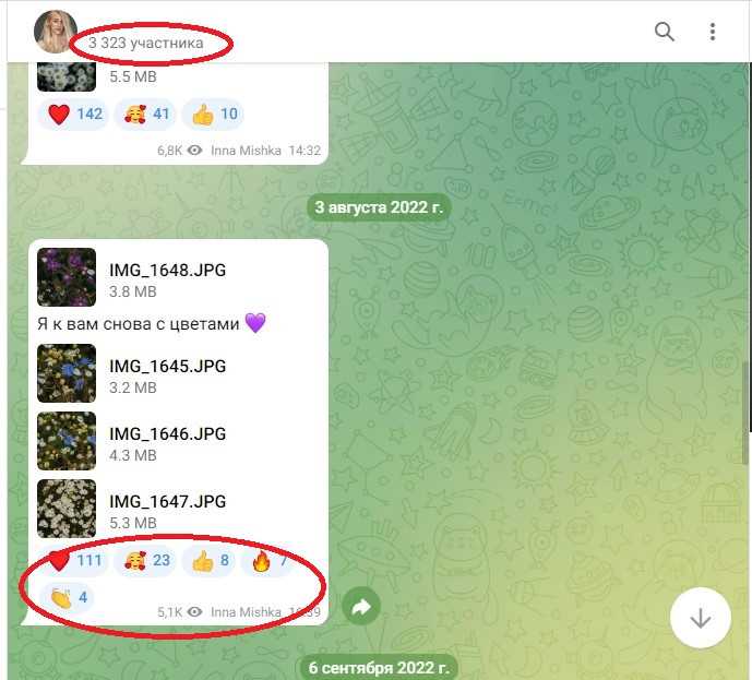 Как раскрутить телеграм канал с нуля? 10 фишек бесплатного продвижения