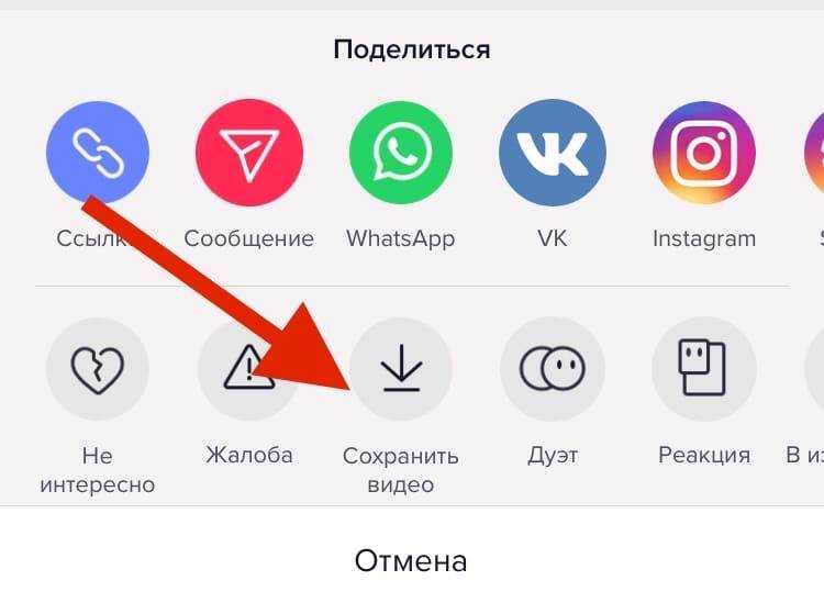 Как скачать видео из тик ток: 6 способов