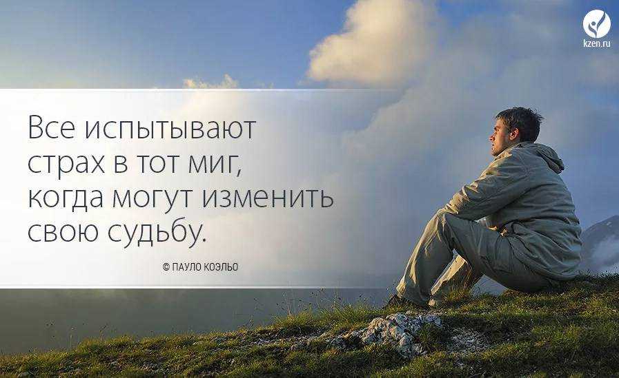 Как работает текстерра, интервью с денисом савельевым | финтолк