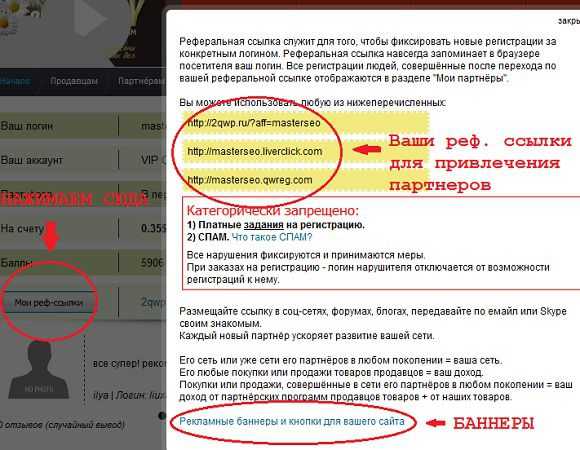Что такое реферальная программа и как использовать ее для заработка