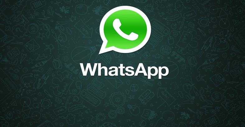 Whatsapp рассылка: полный гид