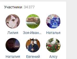 Как накрутить подписчиков в тик ток: топ лучших сервисов и способов