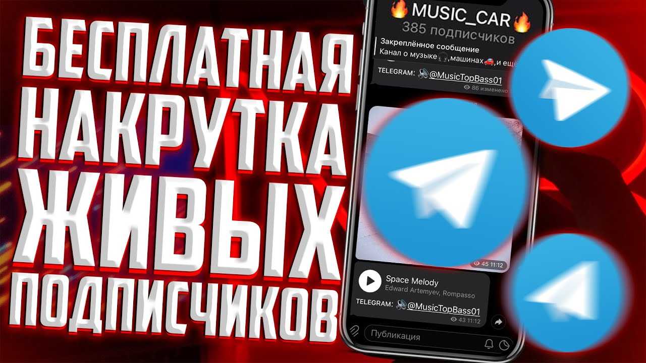 Накрутка подписчиков в телеграм на канал: 12 лучших сервисов