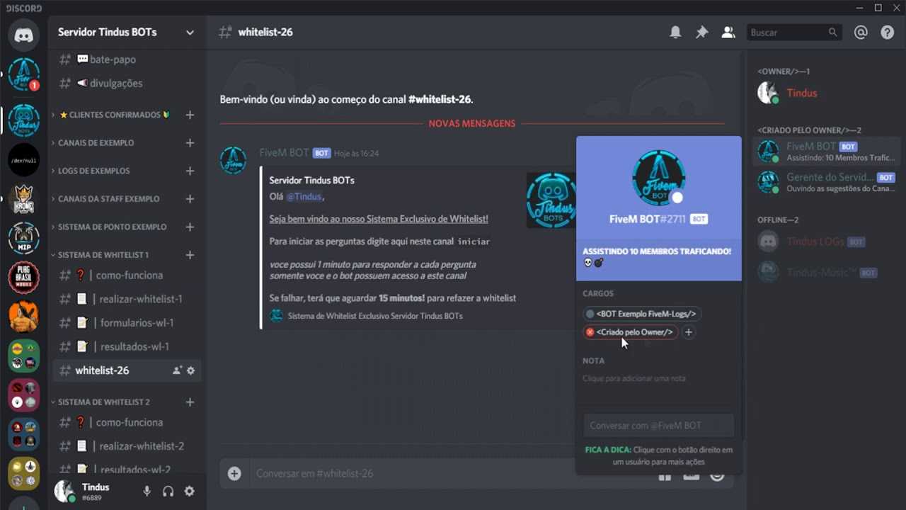 What is a discord bot?