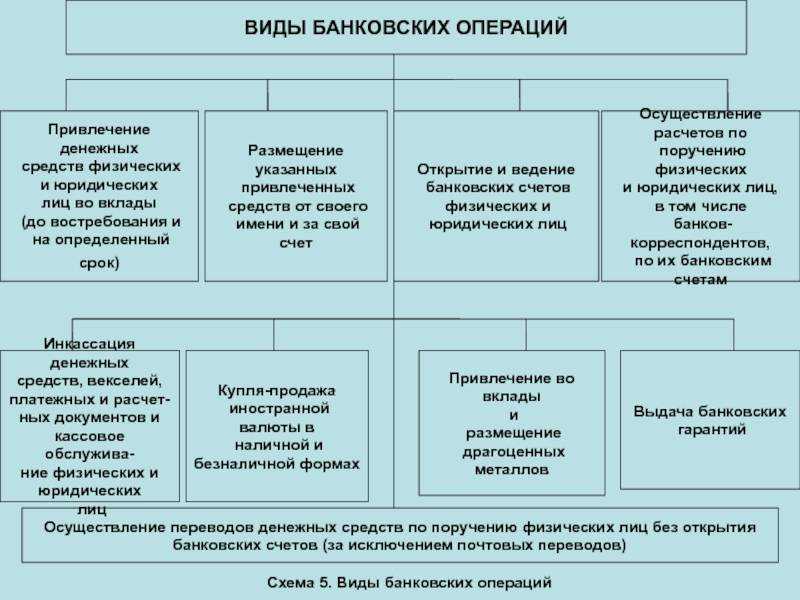 Текущие, расчетные, дебетовые и карточные: какие счета открывают банки для россиян и в чем их отличия?
