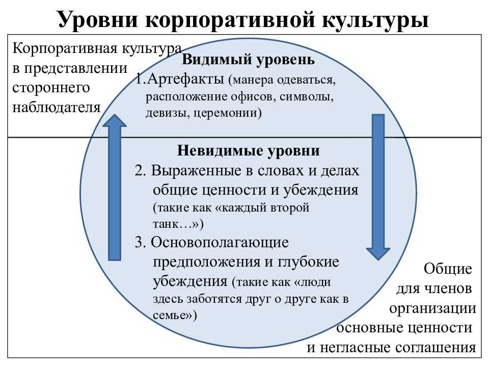Виды и типы корпоративной культуры организации
