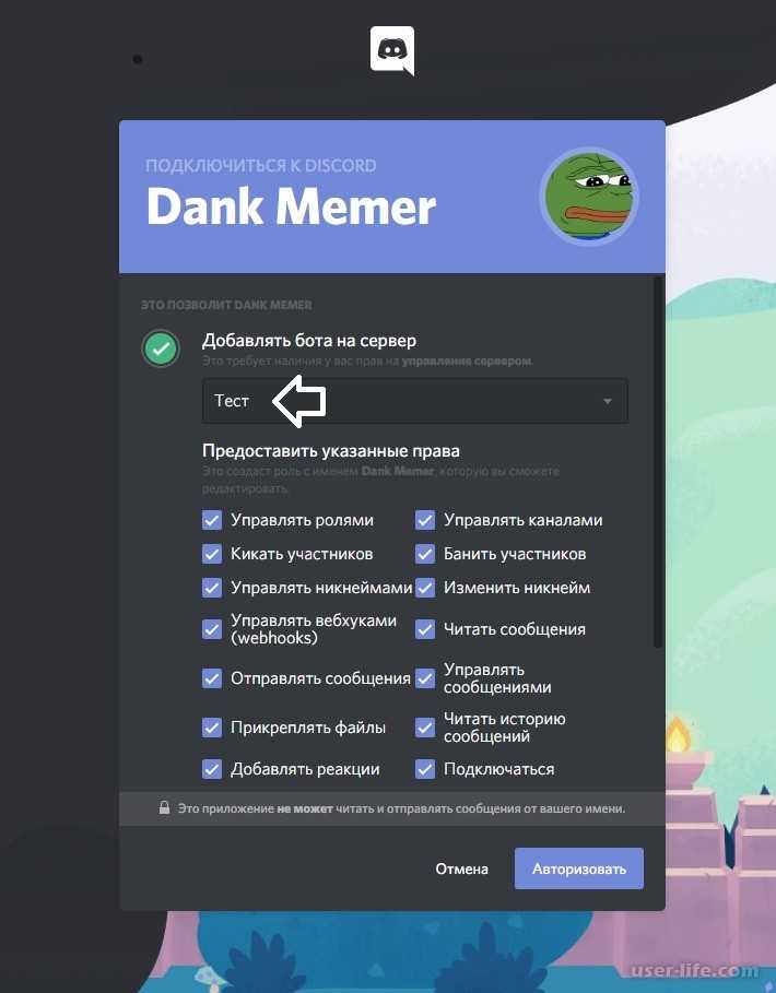 Бот vexera для discord